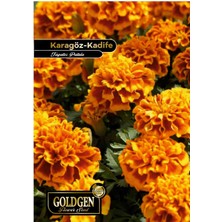 Goldgen Pro Seed Goldgen Karagöz - Kadife Çiçeği Tohumu