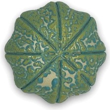 Haangarden Seramik Kaktüs