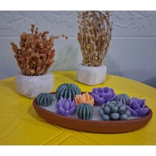 Twinroots Dekoratif Toprak Kase Kaktüs Mum Tasarımı