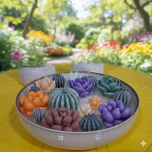 Twinroots Dekoratif Pinterest Tasarım Mum Teraryum Kaktüs Seti