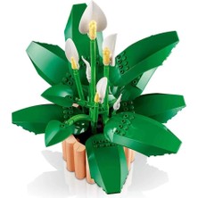 Mey İthalat Bfs 11504 Botanicals Barış Çiçeği - Pace Lily 474 Parça +18 Yaş