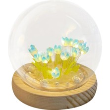 DS LLC Ieg ™ LED Işıklı Kendin Yap Lale Cam Küre DSLLCRS-IEGK34