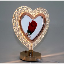 DS LLC Ieg ™ Ledli Çerceve DSLLCRS-IEGK34