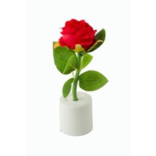 DS LLC Gül Işıklı Biblo 17 cm DLLSRSBJ34