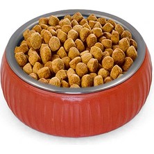 DS LLC Ieg ™ Mikopet Organik Seramik Mama Kabı Kiremit DSLLCRS-IEGK34