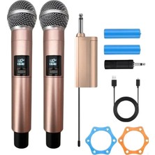 DS LLC Ieg ™ Profesyonel Çiftli Kablosuz Mikrofon Seti Karaoke Şarj Edilebilir 50 Metre Mesafe Rose Dsl