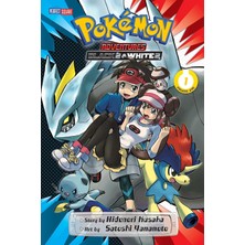 Skygo Pokemon Adventures: Black 2 & White 2, Vol. 1