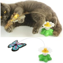 Pilli Hareketli Dönen Kelebek Kedi Oyuncağı Catch Butterfly