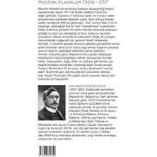 Skygo Çocukların Gecesi - On Beş Tabloda Bir Peri Masalı - Modern Klasikler 257