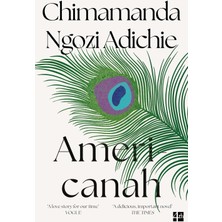 Skygo Americanah