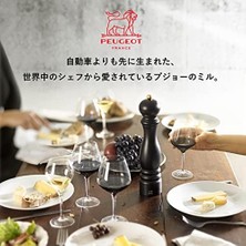 Skygo Paris Manuel Tuz Değirmeni, Öğütme Derecesi Ayarı U'select, Yükseklik: 12 Cm, Ahşap, Kahverengi, 23454