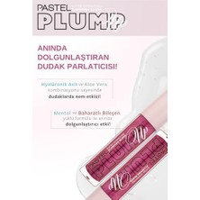 Skygo Pastel Plump Up Extra Hydrating Plumping Gloss - Dolgunlaştıran Dudak Parlatıcısı, 207 Mariposal, 5,3 ml