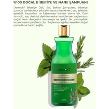 Skygo Yüzde Yüz Doğal Saç Güçlendirici Biberiye Şampuan 400 ml