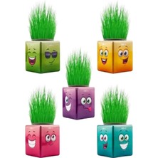 Skygo Çim Adam Çimoji 32'li Renkli Küp Şeklinde Çimadam Çimoji