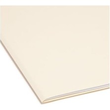 Skygo Indiziert Dosya Düzenleyici Set, Her Gün (1 – 31), Klasörlere, Güçlendirilmiş 1/5-Cut Tab, Size, Manila, 31 Pro Set (11769)