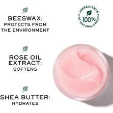 Skygo Nuxe Very Rose Lip Balm 15 G