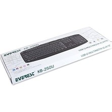 Skygo KB-250U, Multimedia Q Klavye, Türkçe, Siyah