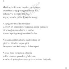 Skygo Yüz Aşk Sonesi