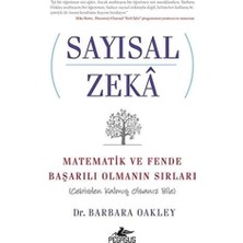 Skygo Sayısal Zeka: Matematik ve Fende Başarılı Olmanın Sırları (Cebirden Kalmış Olsanız Bile)