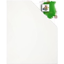 Skygo Bordo Sanat Profesyonel Tuval 20X20CM