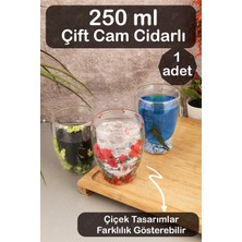 Fesya Home Çift Camlı Cidarlı Bardak 250ML Çiçek Dekorlu Isıya Dayanıklı Bardak