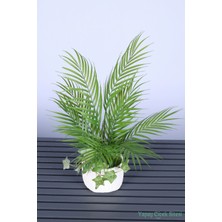 Yapay Çiçek Sitesi Beton Saksıda Yapay Sıkas Bitkisi 55 cm