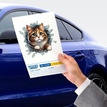 Zenvia Fulcar Stray Araç Stickerı ZNV2025