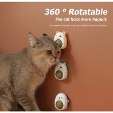 Zenvia Ayıcıklı Kedi Otu Yalama Topu ZNV2025