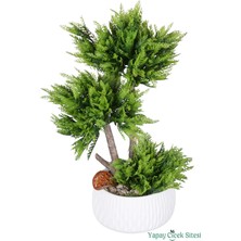 Yapay Çiçek Sitesi Beton Saksıda Dekoratif Mini Yapay Ağaç Bonus Model