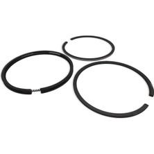 Briggs & Stratton Segman Takımı Std 495854