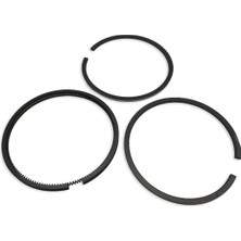 Briggs & Stratton Segman Takımı Std 499631