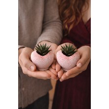 Tunç Botanik PEMBE KALP SAKSIDA SUKULENT – ROMANTİK CANLI HEDİYE