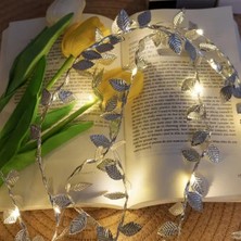 Marsilyan 3 Metre Yaldızlı Gümüş LED Işık