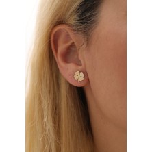 Yavuz Kuyumculuk 14 Ayar Altın Yonca Top Küpe