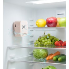 İNOSORUS OXİ Akıllı araç buz dolabı hava temizleme koku giderici ozon dezenfeksiyon cihazı (Şarjlı)