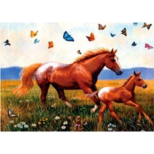 Duck Hoby 50X40 Boncuklu Taş Mozaik Elmas Goblen Pano Tablo Resim Boncuk Puzzle Dıamond Paıntıng Hı Stone