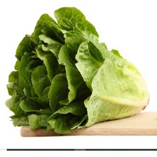 Gelenesel Doğal Yedikule Marul Tohumu (100TOHUM)