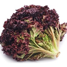 Geleneksel Soğuğa Dayanıklı Ruby Red Kırmızı Kıvırcık Marul Tohumu (100TOHUM)