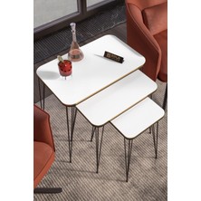 Zigon Sehpa Kr Çift Beyaz Tel Siyah Ayak