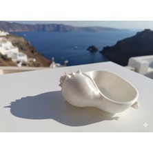 Bee3D Deniz Kabuğu Kase