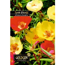 Goldgen Pro Seed Goldgen Ipek Çiçeği Tohumu