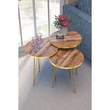 Zigon Sehpa Gold Ceviz Tel