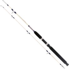 Remixon Hurricane 165 cm 20-40LBS Aksiyonlu Tekne Kamışı