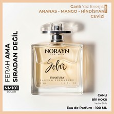 Norayn Solar Erkek Parfüm 100 ml Edp – Ananas, Mango ve Hindistan Cevizi Notaları, Ferah ve Canlı Koku