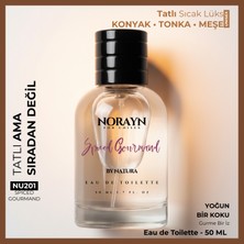 Norayn Spiced Gourmand Unisex Parfüm 50 ml Edt – Konyak, Tonka ve Meşe Notaları, Yoğun ve Lüks Koku