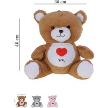 Halley Peluş 40 cm I Love You Ayılar
