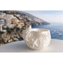 Bee3D Deniz Kabuğu Dekoratif Kase – 3D Baskı Silk Pla Parlak Yüzey | Bee 3D
