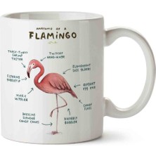 Flamingo Anatomisi Flamingo Anatomy Porselen Kupa Bardak