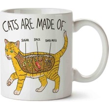 Kedi Anatomi Cat Anatomy Porselen Kupa Bardak