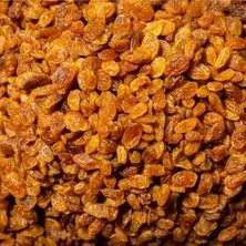  gurme çekirdeksiz sarı üzüm